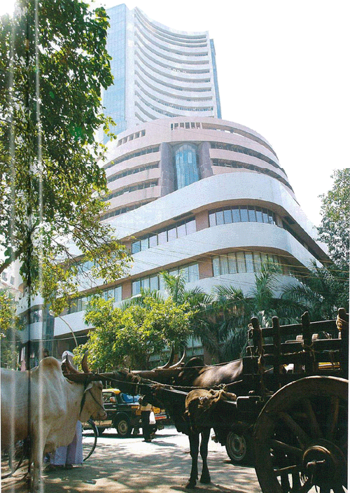 'Cow', the vchicle of God is standing calmly at the base of high-rise building (Mumbai).